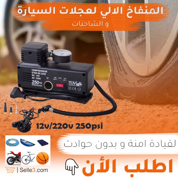 Compresseur Gonlfeur 250psi 12v 220v